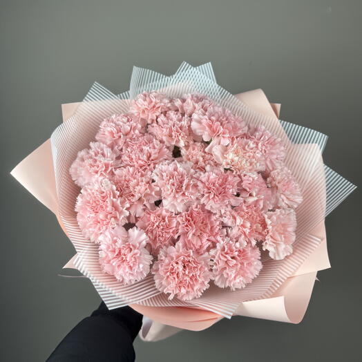 Розовые диантусы (23 шт)