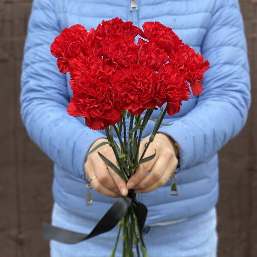 Гвоздика красная ️