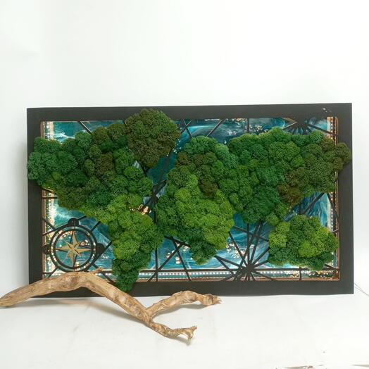 Фитопанно "Карта Мира"- с подсветкой