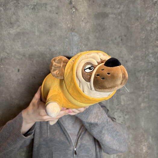 Мопс в желтом худи
