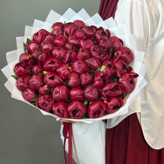 Бордовые пионы Отборные