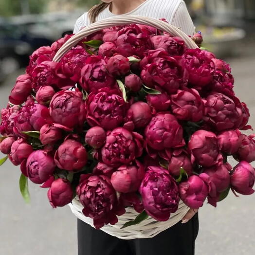 корзина из 101 бордового пиона