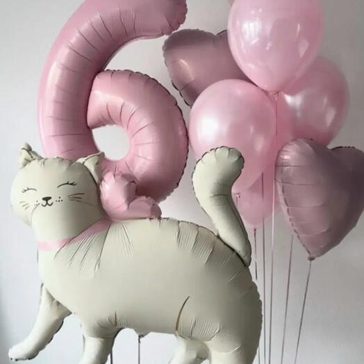 Набор с кошкой