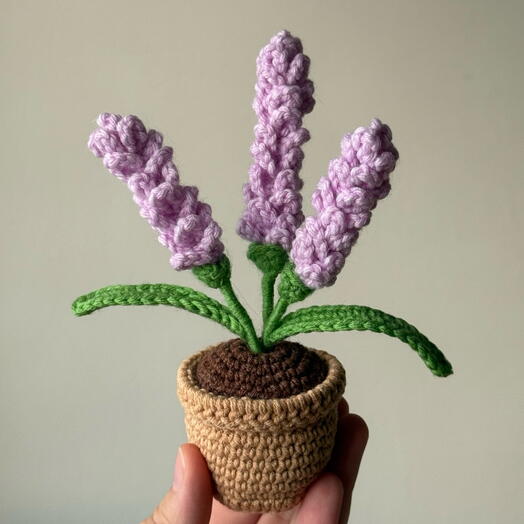 Нежная лаванда в горшочке💜