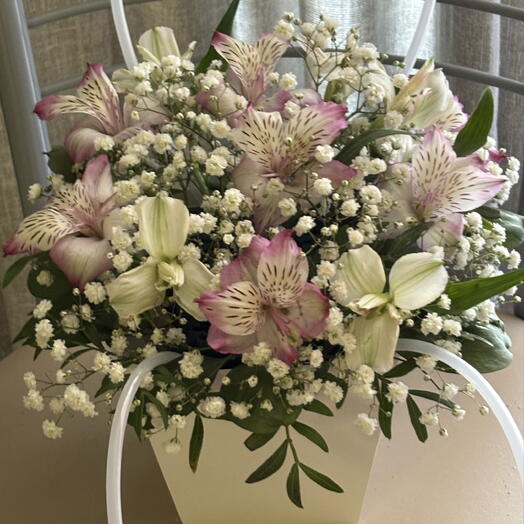 Composition of alstroemeria and gypsophila