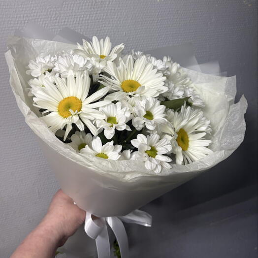 Ромашки 💕