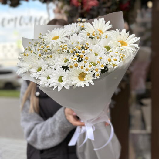 Ромашковое поле