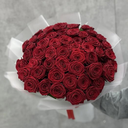 101 red-красный-կարմիր 🌹 роза