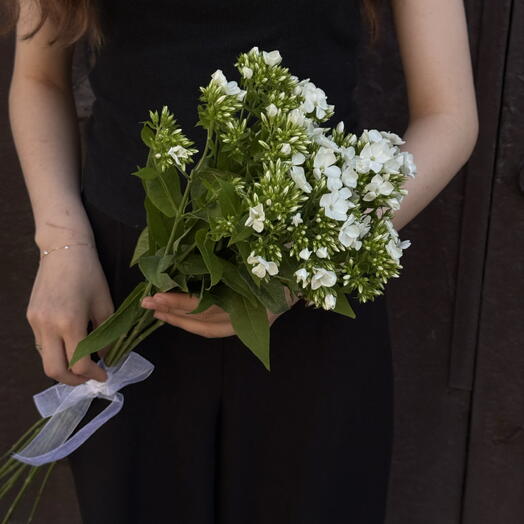 флокс