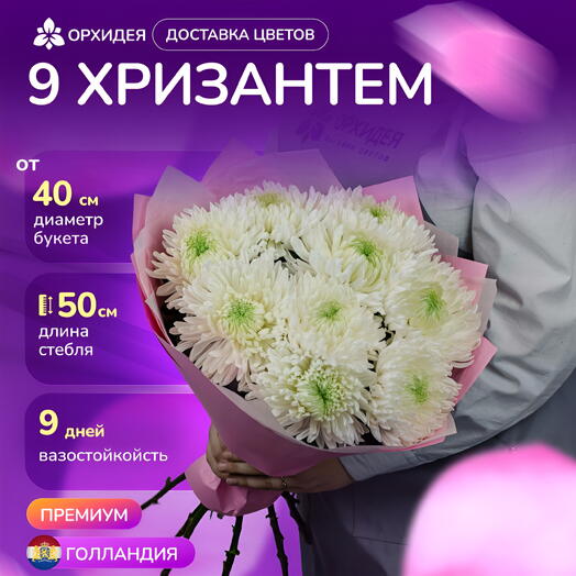 Букет 9 Хризантем магнум белые