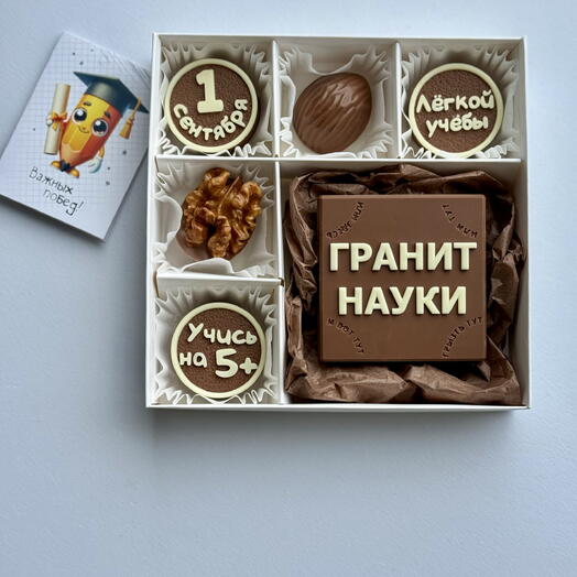 Шоколадный набор «Гранит науки»