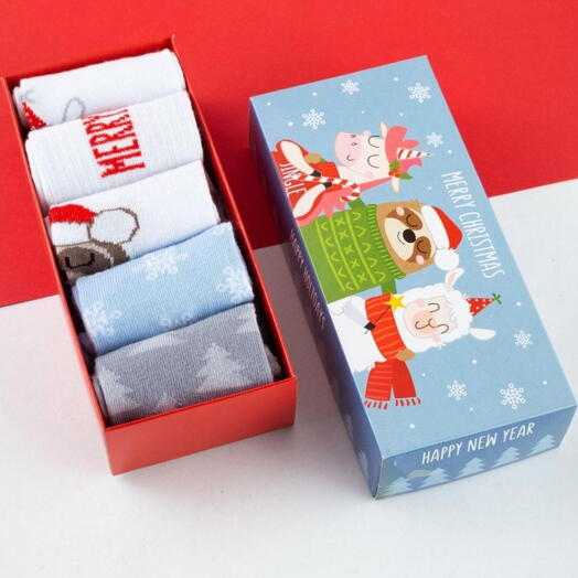 Набор носков "Merry Chistmas", 5 пар