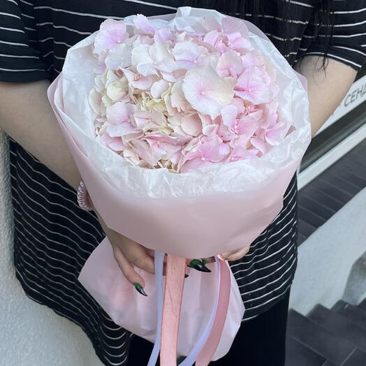 Гортензия нежно розовая💖