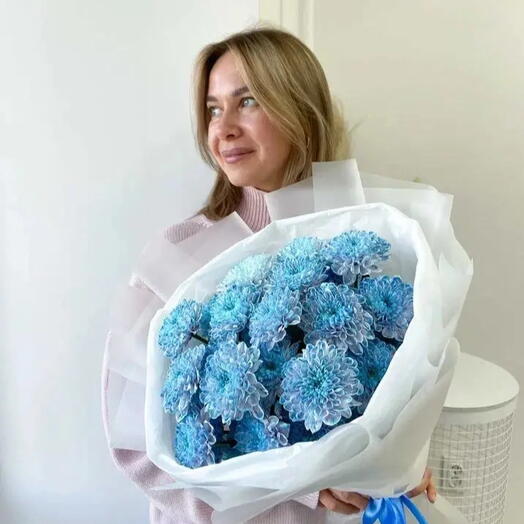 Сизая хризантема
