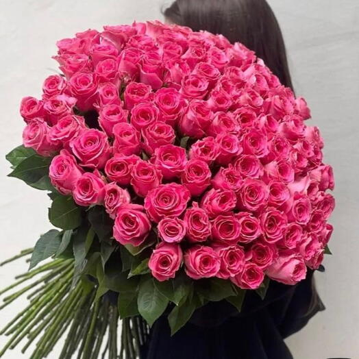 Raspberry-colored rose