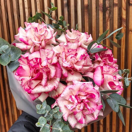 Мир французских роз 🌹