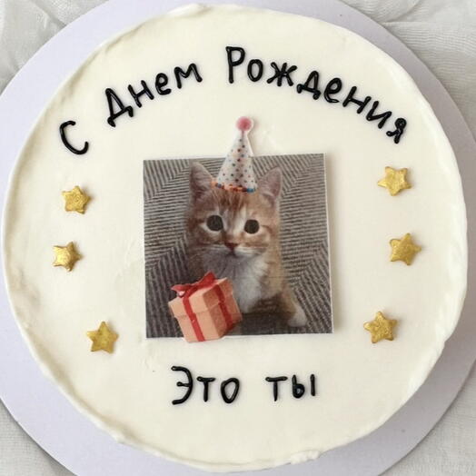 Бенто-торт с милым котиком на день рождения для подруги,для сестры,для девушки,подружки
