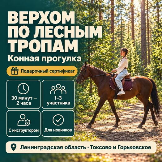Подарочный сертификат «Конная прогулка» (30 минут, 1 человек)