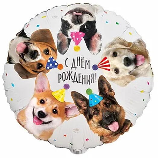 шар собачки