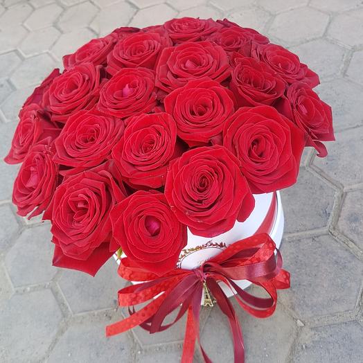 Amor