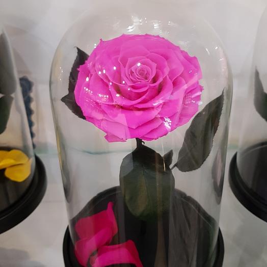 Rose in a flask