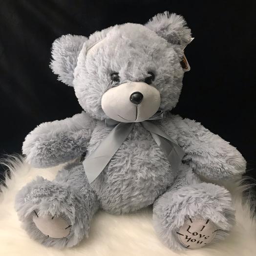 Oso Ted 50 cm
