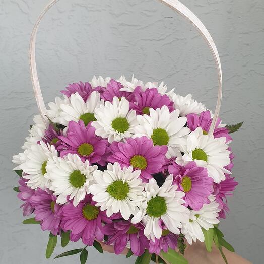 Корзина с ромашковыми цветными хризантемами