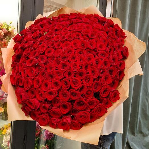 201 roses
