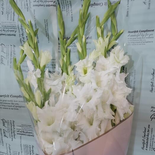 Cisne blanco (gladiolos)