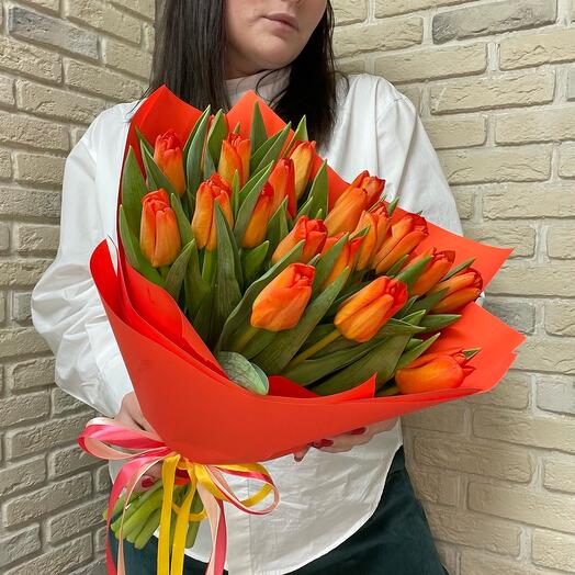 Coral 🧡 19