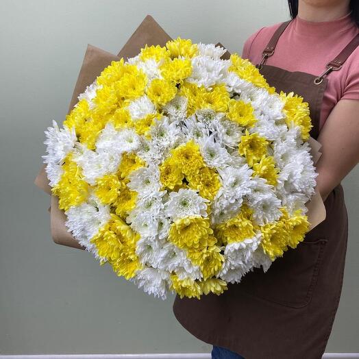 Chrysanthemum