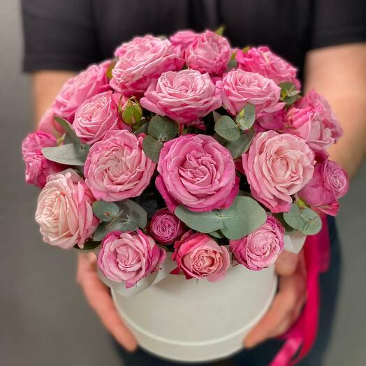 Rosa de arbusto de peonía con eucalipto fragante en Caja
