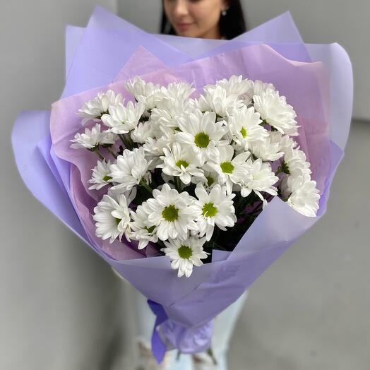 Bouquet of Bush Chrysanthemums