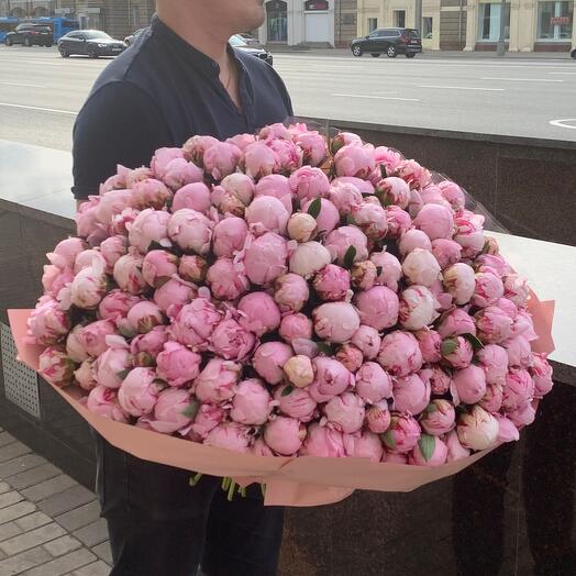 Пион 151 шт