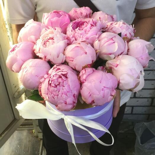 15 розовых пионов сара бернар в шляпной коробке