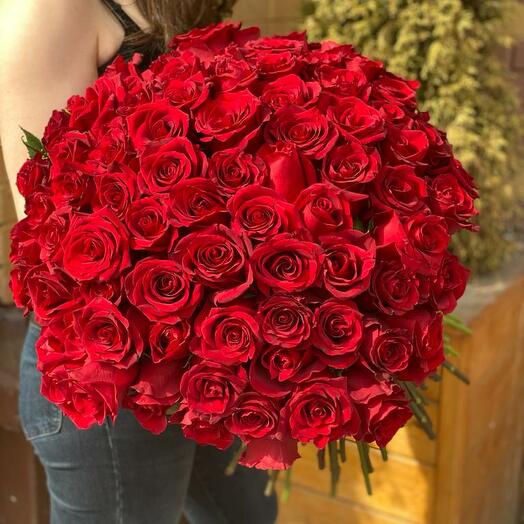 65 scarlet roses