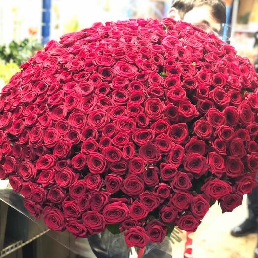 ✅ 301 rosa