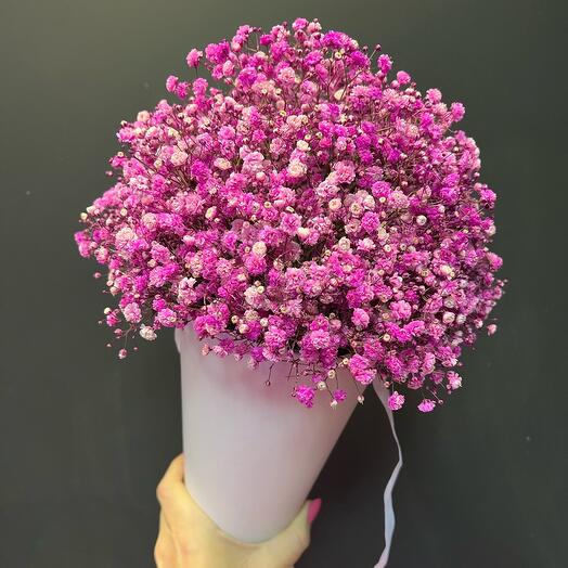 Гипсофила в конусе