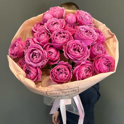 VENTA caliente🔥rosas de Peonía Misty Bubbles