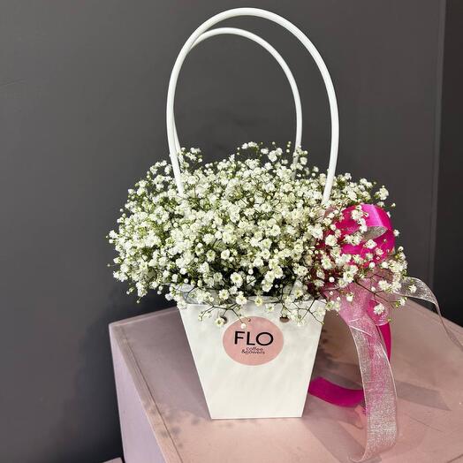 Bolso de gypsophila