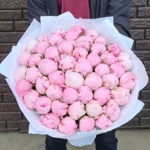 Royal Pink Peonies