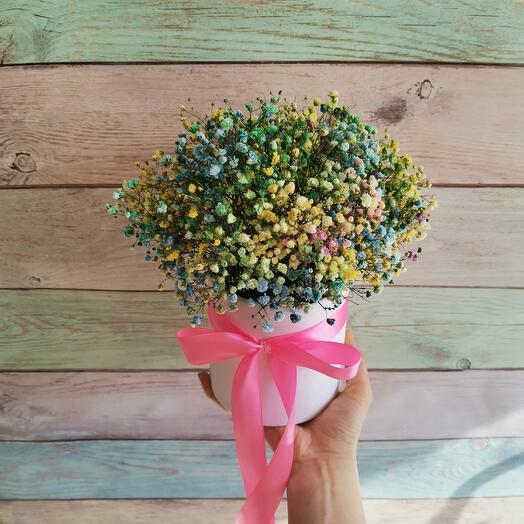 Caja de gypsophila de color pequeña