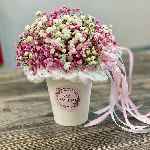 Ramo de gypsophila en un vaso