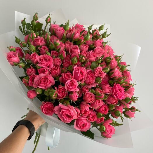Bush rose