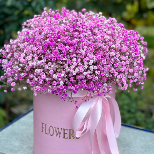 Pink box