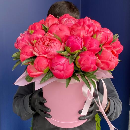 Coral peony in a hatbox