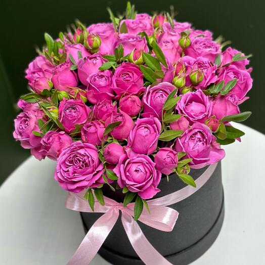 Reina de rosas arbustivas