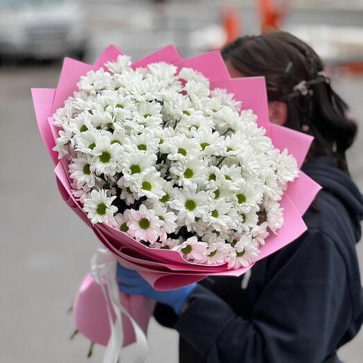 17 хризантем кустовых