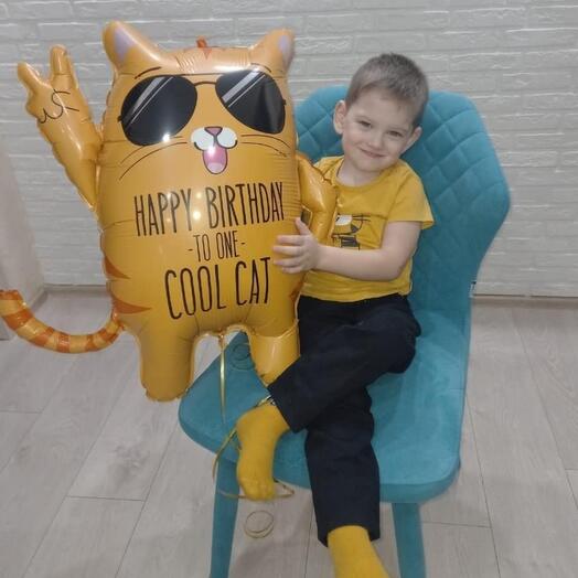 Шар Cool Cat
