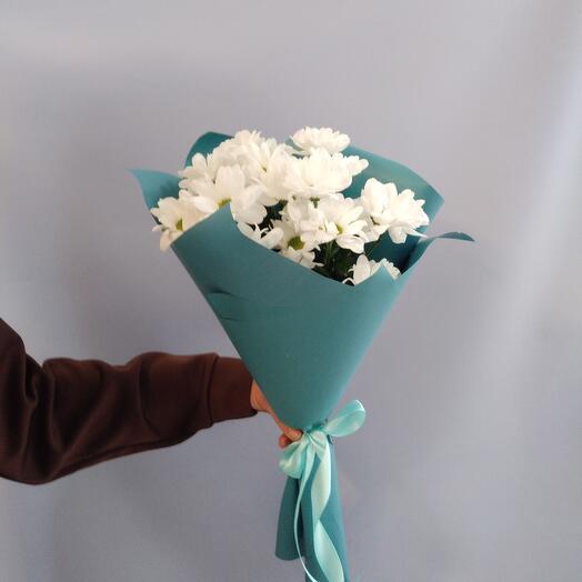 Кустовая хризантема 3 шт